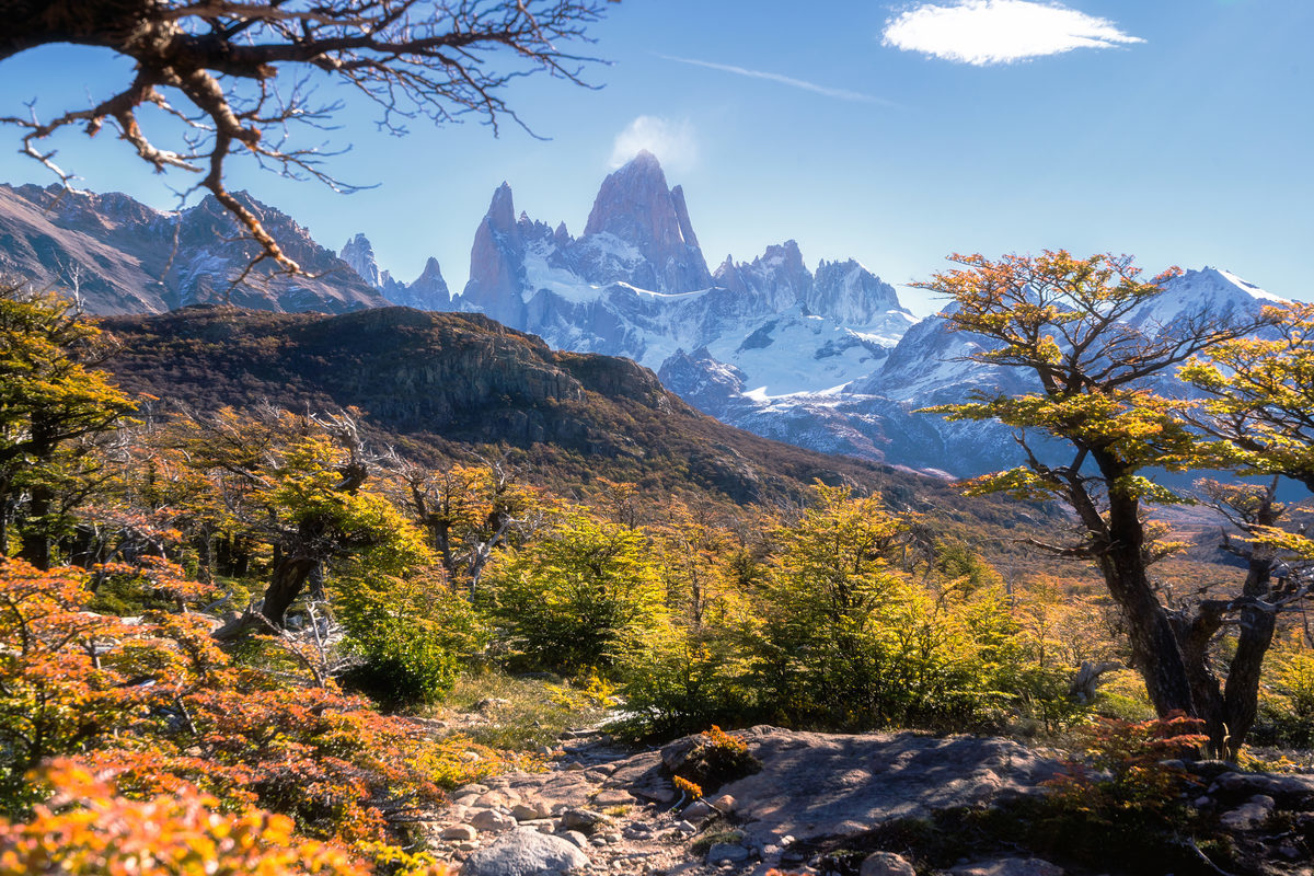 Los Glaciares Nationalpark (Argentinien)